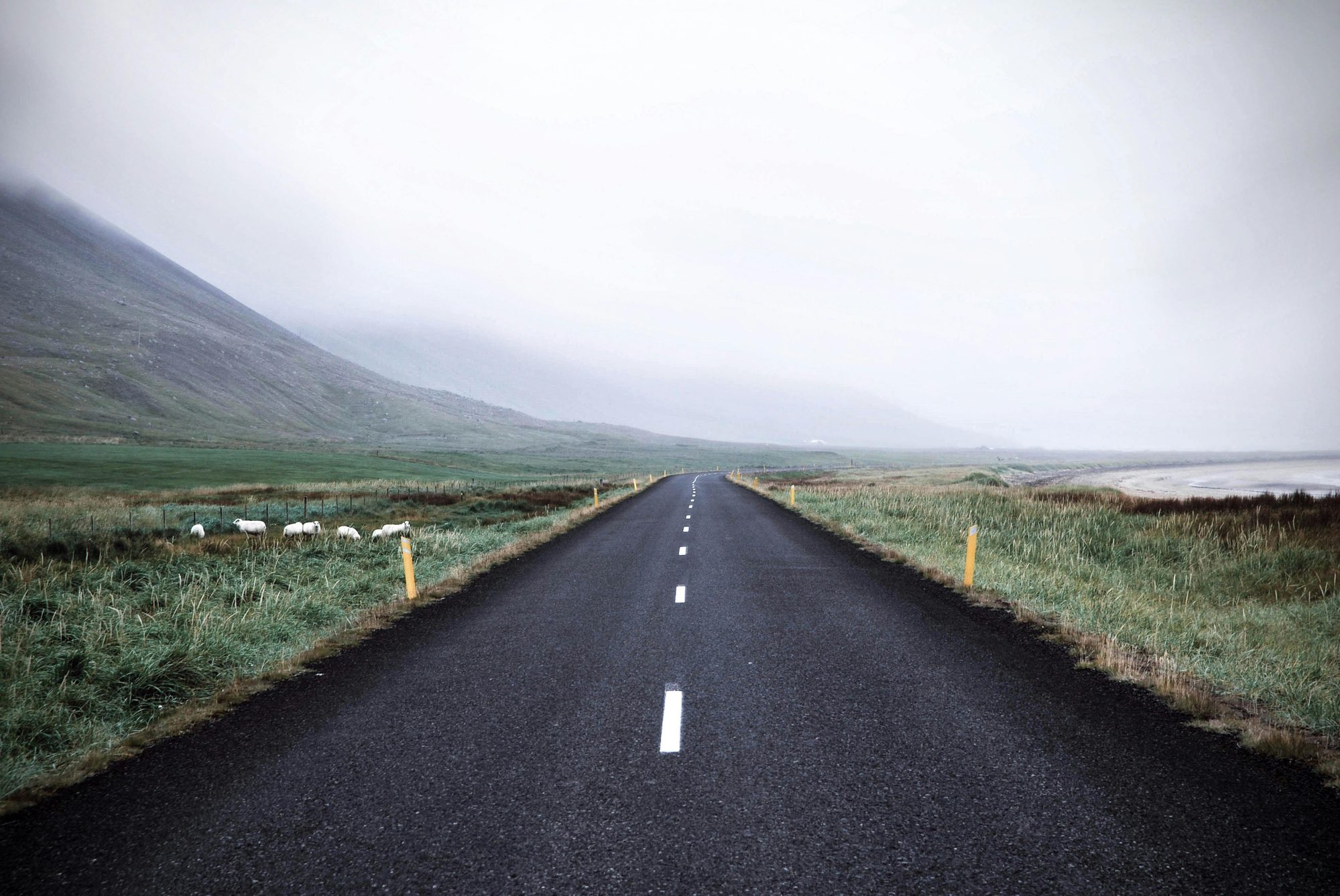Iceland nature photography